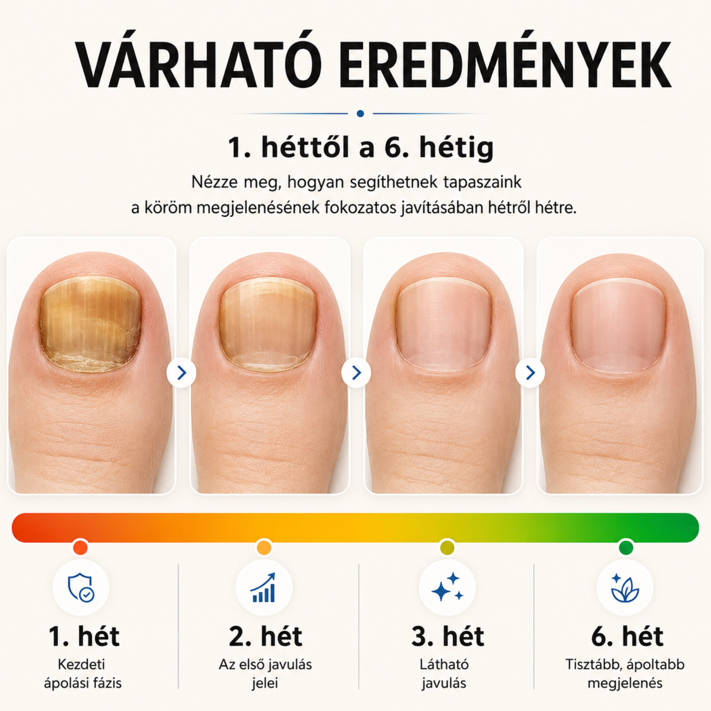 HAIRROX - KÖRÖMMEGÚJÍTÓ TAPASZ - 21 DB/DOBOZ